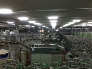 Rieter spining line (1)
